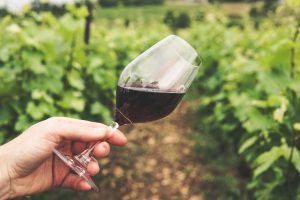 vineyard wine tasting